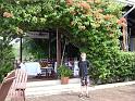 Library - 4939